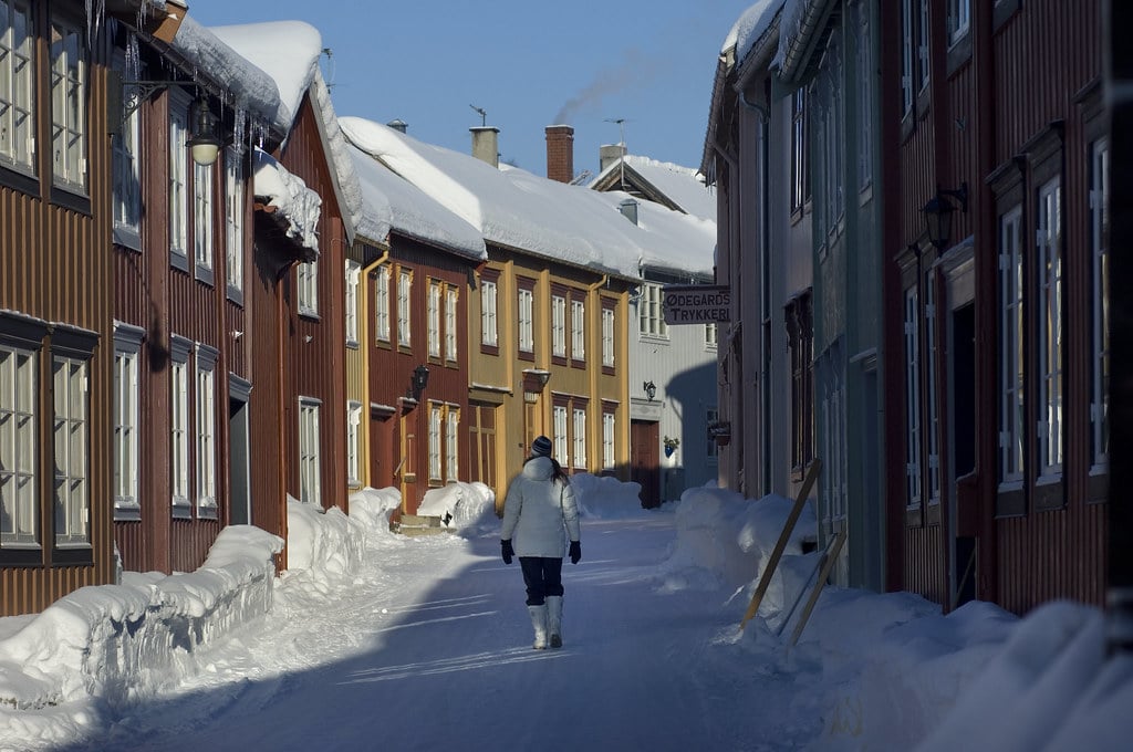 53934633412_a106e41d3e_b