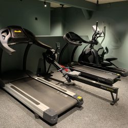 IMG_5665-250x250